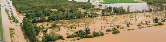 Punjab Faces Worst Flood Since 1988 — Over 20 Million at Risk