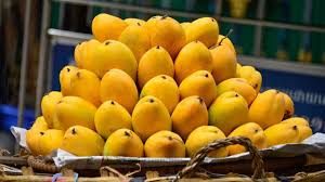 UAE Emerges as Leading Importer of Pakistani Mangoes