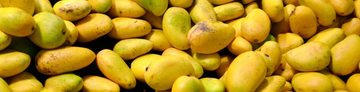 Pakistan Gears Up for Mango Exports Starting May 25th