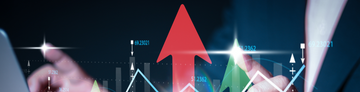 Pakistan’s IT Exports  Grow for  17 Consecutive Months