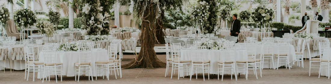 Lavish Wedding Sparks Outrage Amid Economic Struggles