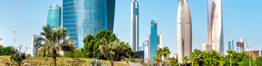 Pakistan’s IT Firms Make First-Ever Entry into Kuwaiti Market